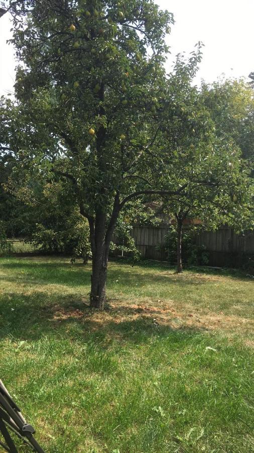 Spectacular 3 Bedroom 2 Wr House - Close To Airport Toronto Zewnętrze zdjęcie